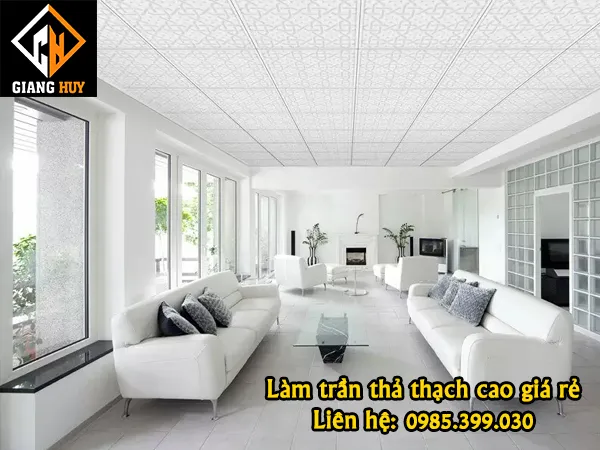 Mẫu trần thạch cao thả cho văn phòng và khu công cộng