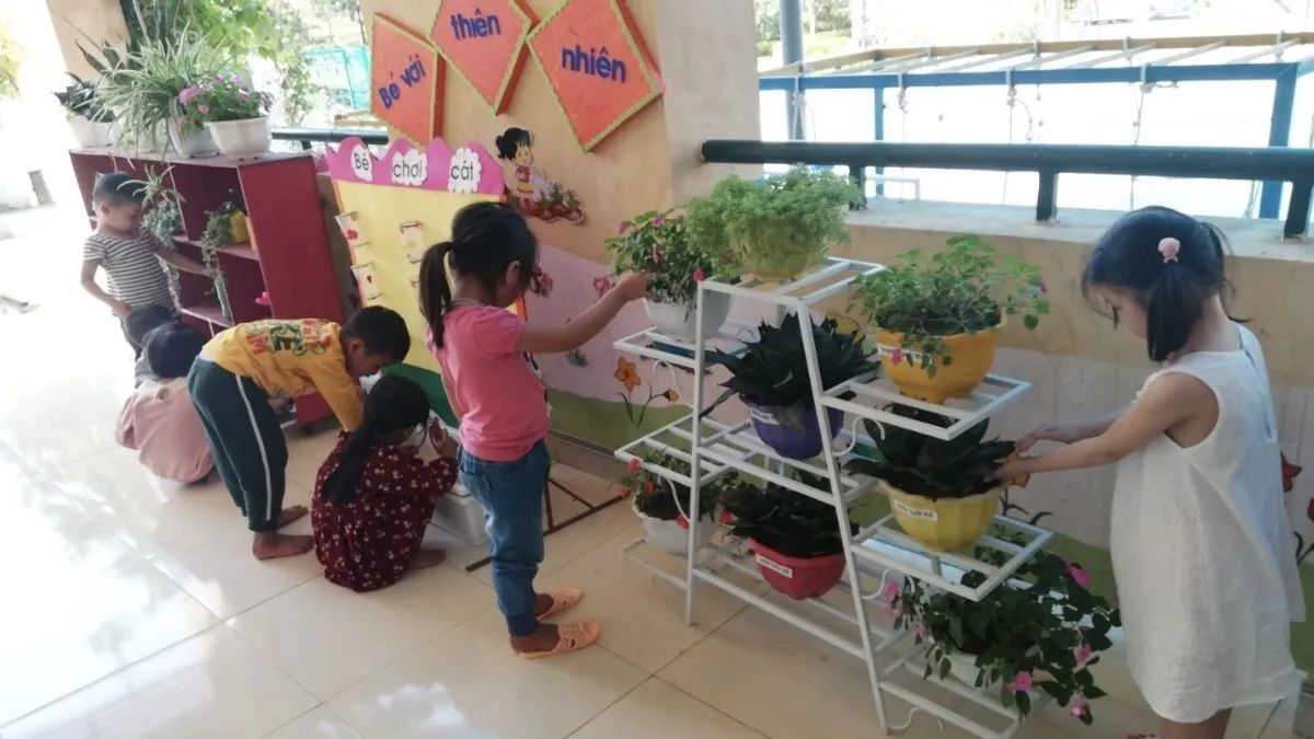 Góc thiên nhiên thu nhỏ ngay bên cạnh khu vực nhạc cụ