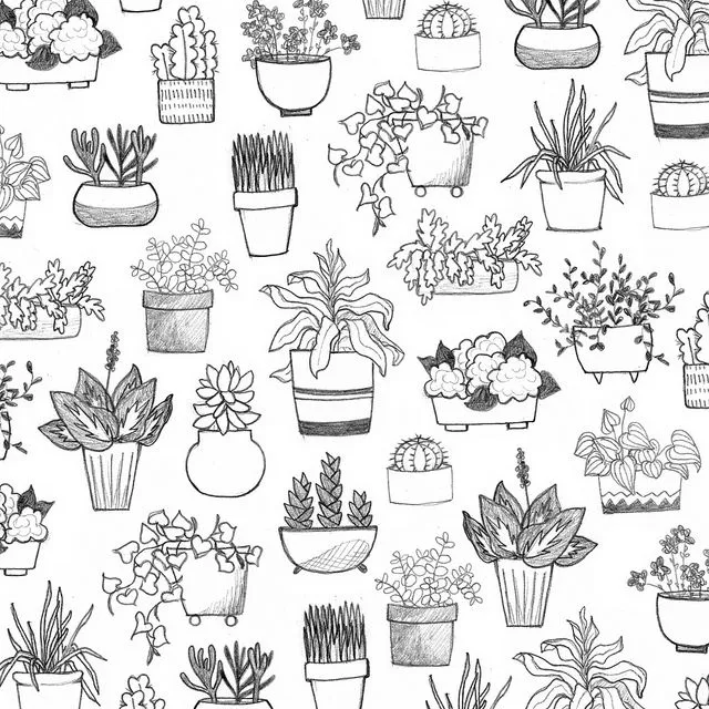 Trang trí không gian sống với tranh vẽ xương rồng tinh tế