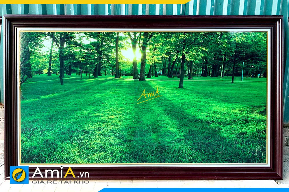 Tranh phong cảnh rừng cây có ánh mặt trời đẹp AmiA 2110
