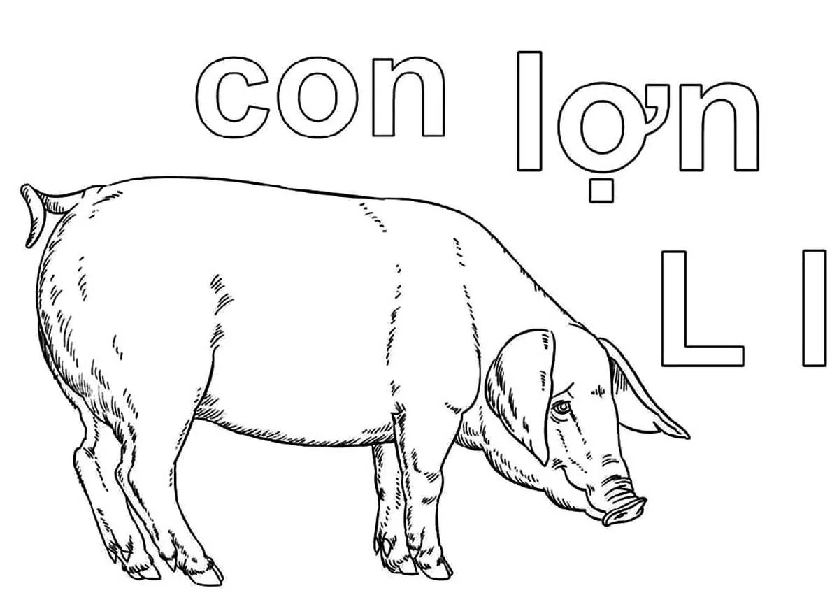 Tranh tÃ´ mÃ u chá»¯ cÃ¡i L