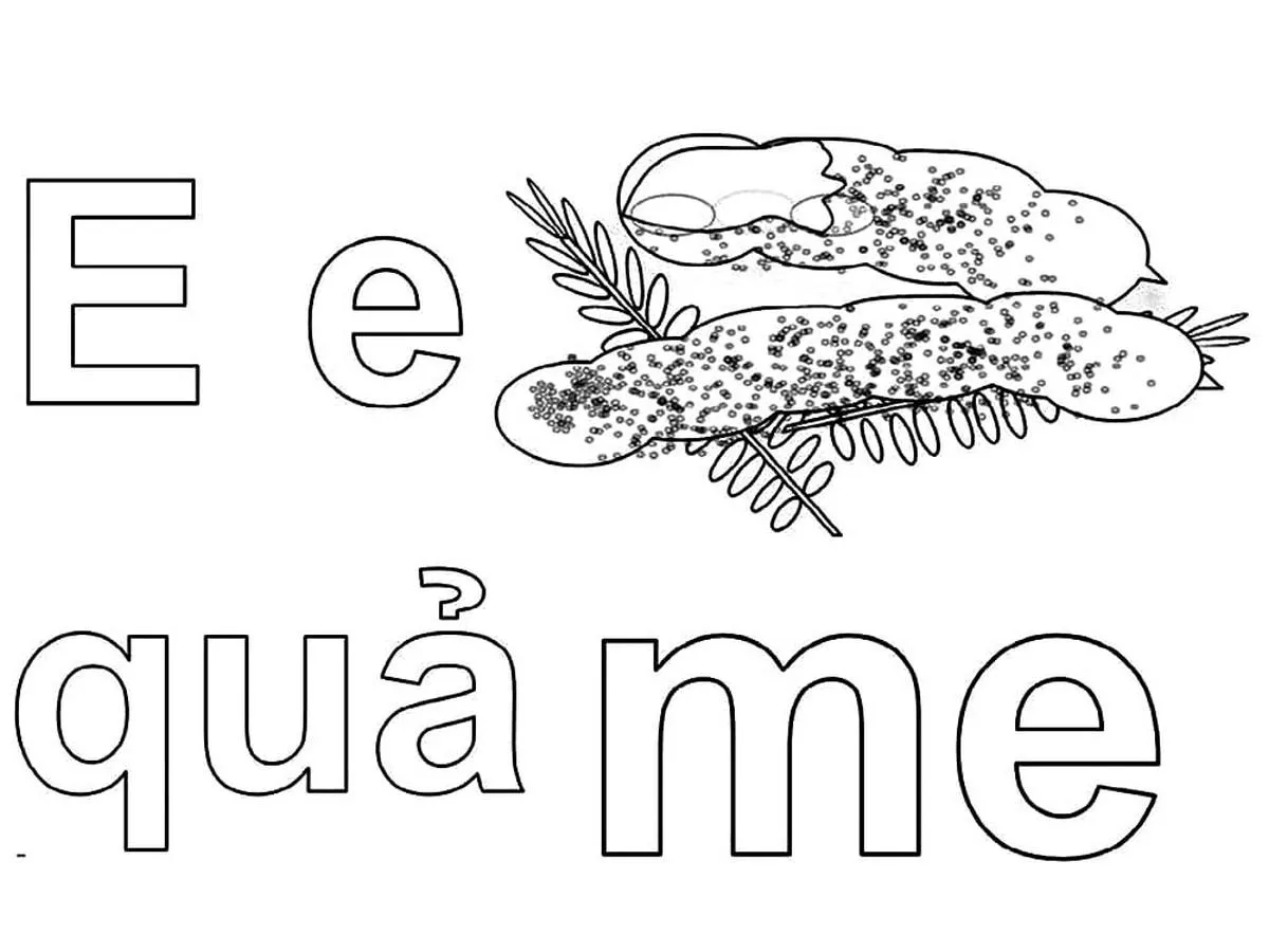 Tranh tÃ´ mÃ u chá»¯ cÃ¡i E