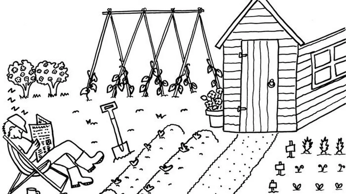 Mẫu tô màu cánh đồng lúa chín vàng