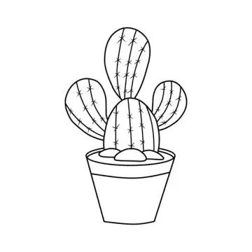 Vật liệu trang trí xương rồng mang lại sự sắc sảo cho ngôi nhà