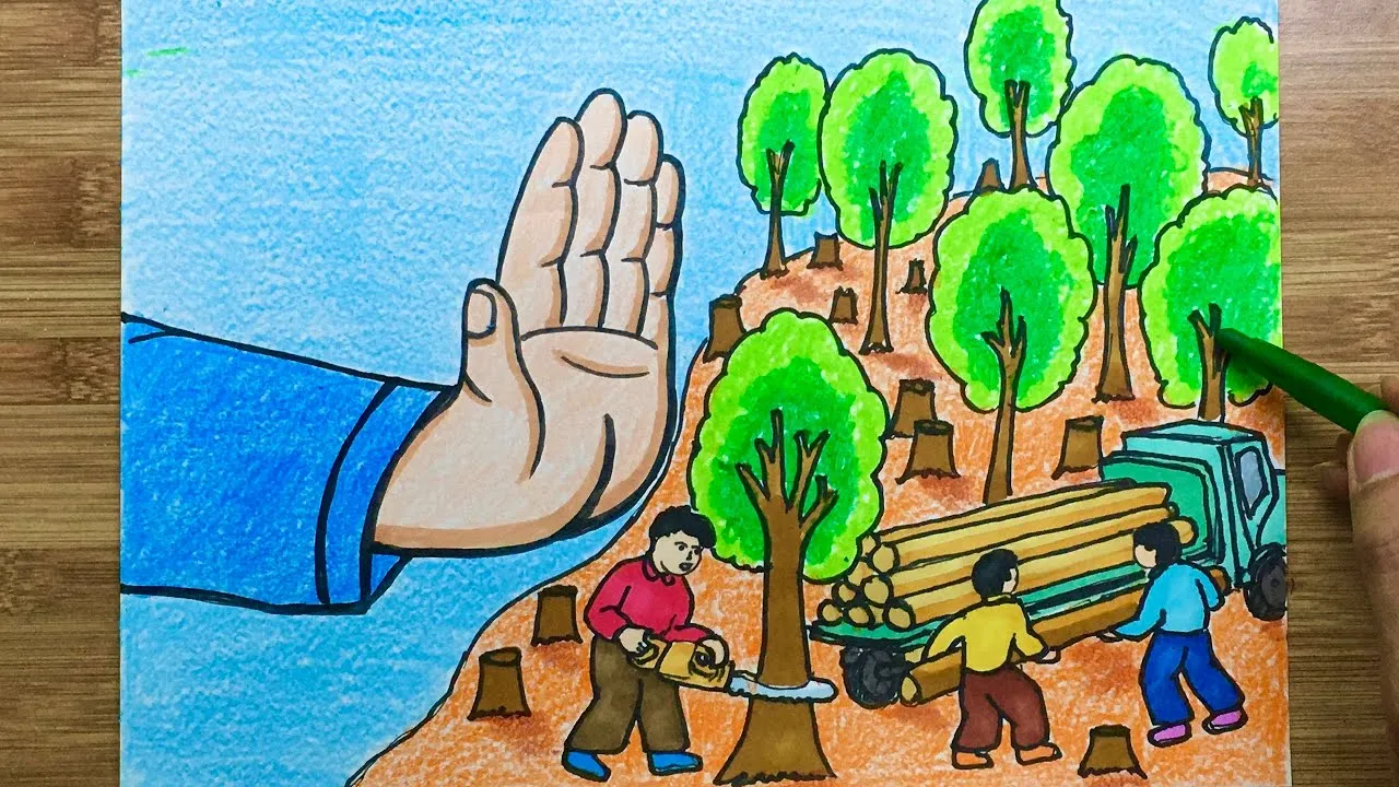 Vẻ đẹp của rừng ngập mặn và nỗ lực bảo vệ hệ sinh thái ven biển