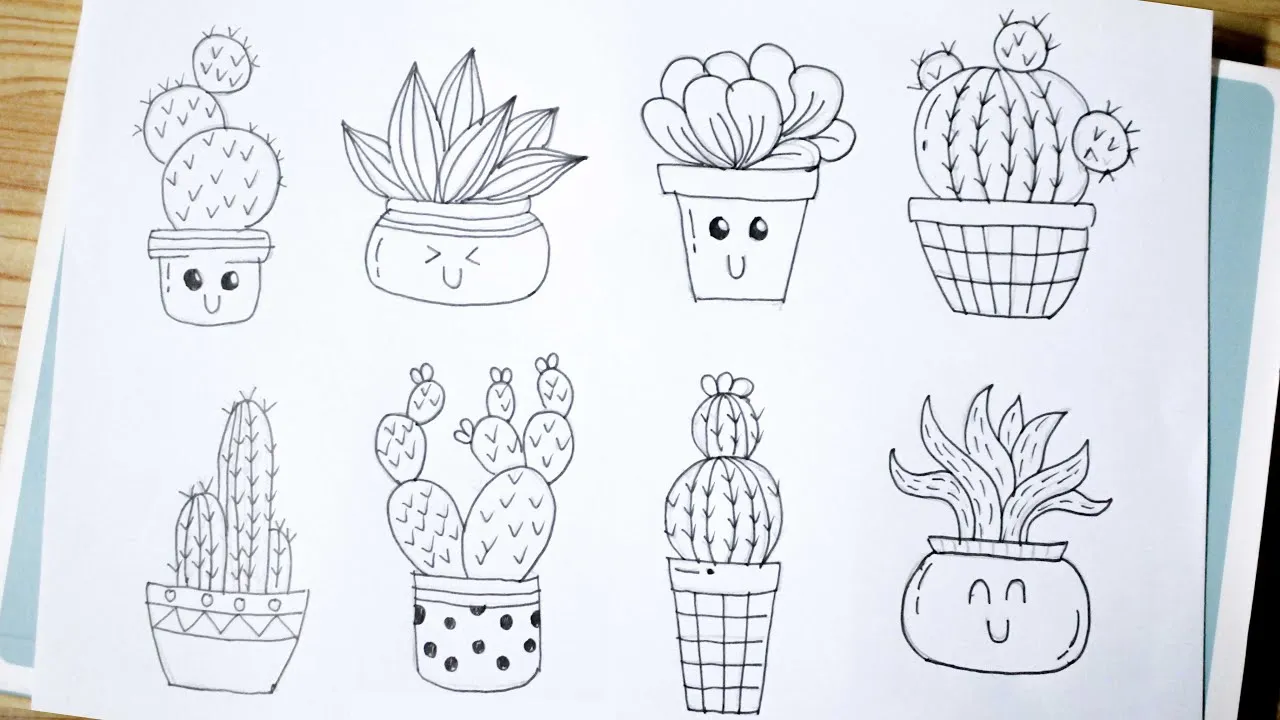 Vẻ đẹp độc đáo của cây xương rồng qua những nét vẽ tay