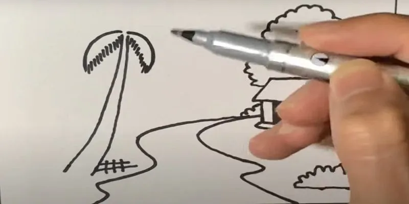 Vẽ tàu lá dừa thứ hai đối xứng để cân bằng tán cây