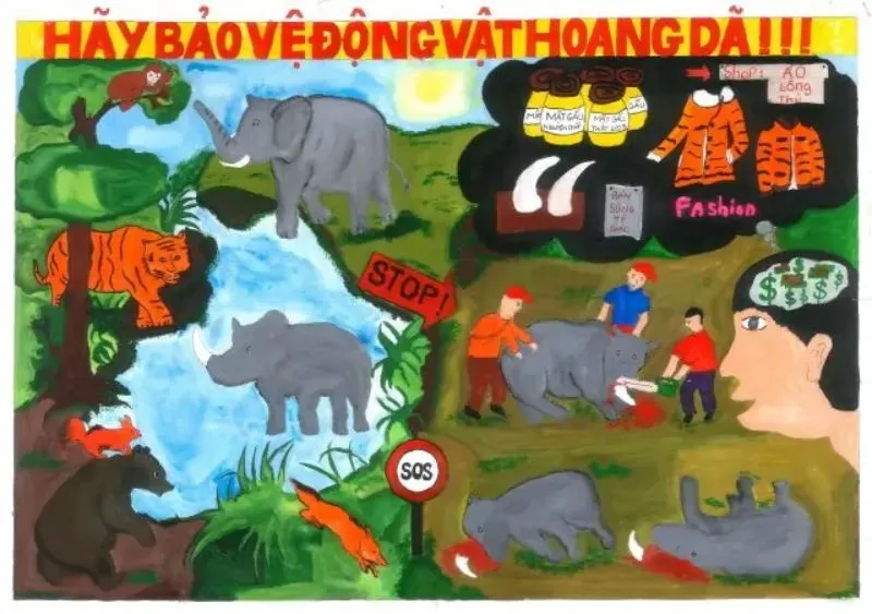 Vẽ tranh phản đối nạn săn bắt và buôn bán động vật trái phép