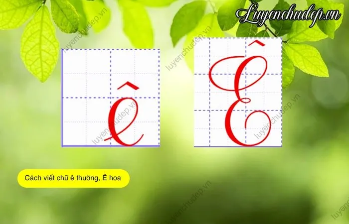 Cách viết chữ ê thường, Ê hoa