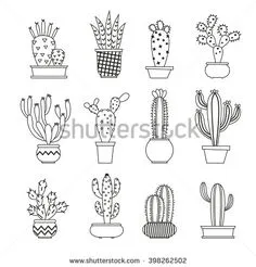 Xương rồng là cây cảnh trang trí mang nhiều ý nghĩa phong thủy