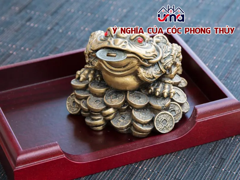 Ý nghĩa của cóc phong thủy